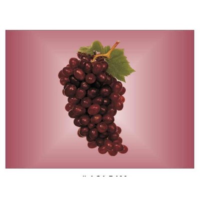 Purple Grapes Metal Photo Magnet (2 1/2"x3 1/2")