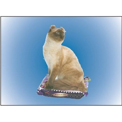 American Curl Cat Rectangle Badge w/ Bar Pin (2 1/2"x3 1/2")
