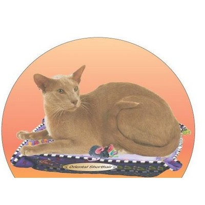 Oriental Shorthair Cat Acrylic Coaster w/Felt Back