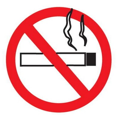 No Smoking Sign Maxi Magnet (2 Square Inch)