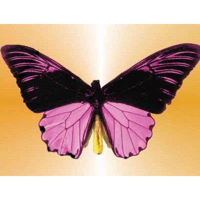 Black & Purple Butterfly Metal Photo Magnet (2 1/2"x2 1/2")