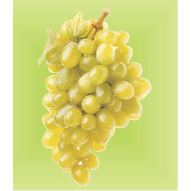 Green Grapes Metal Photo Magnet (2 1/2"x2 1/2")