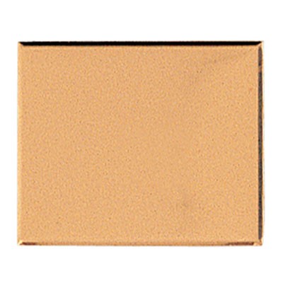Embossed Brass Plate w/Beveled Borders (2-5/8" x 3¼")