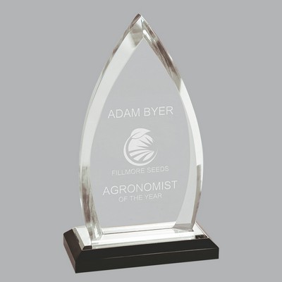 8 3/4" Silver Oval Impress Acrylic Award