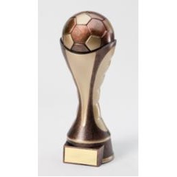 Small WP Sculpture Soccer Award