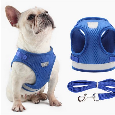 Harness And Leash Set For Small Dog