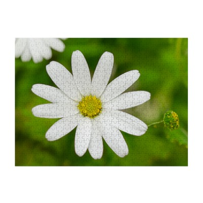 500 Piece Jigsaw Photo Puzzle