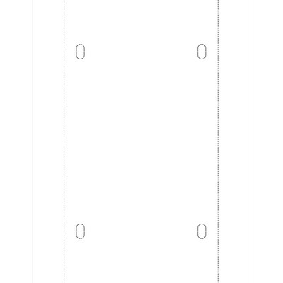 Tear Resistant Temporary Tags (2 Perforated Sections)