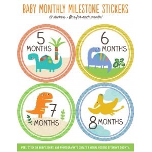 Baby Stickers Dinosaurs