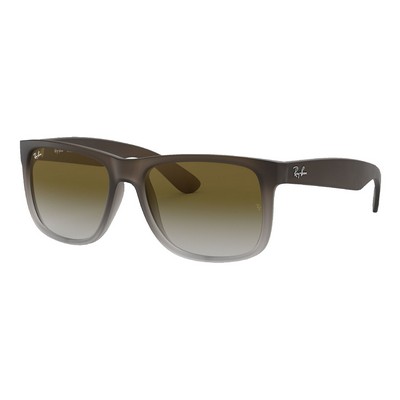 Ray-Ban Justin Sunglasses