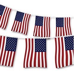 Supreme Cloth American Flag Pennants