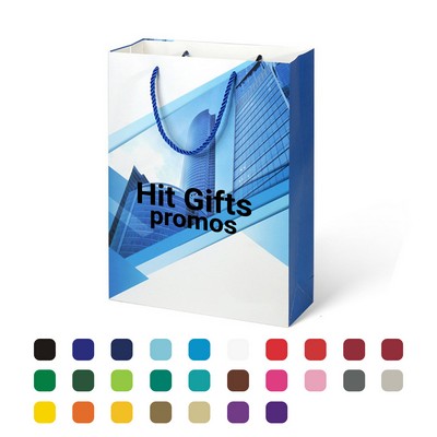 Matte Laminated Gift Packing Bag