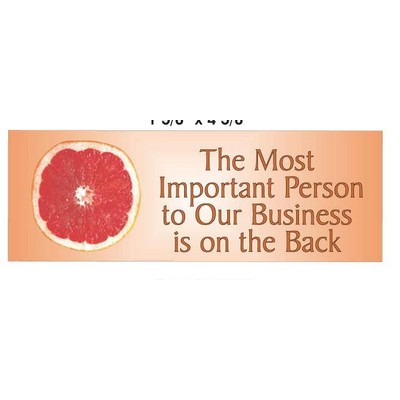 Grapefruit Panoramic Photo Hand Mirror (1 5/8"x4 5/8")