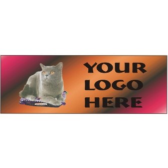 Chartreux Cat Panoramic Metal Photo Magnet w/ Full Magnetic Back