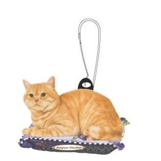 European Shorthair Cat Zipper Pull