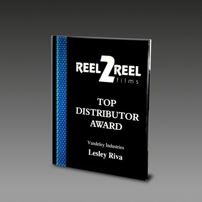 9" x 11" Prismatic Plaque™