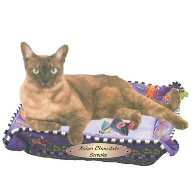 Asian Chocolate Smoke Cat Promotional Magnet w/ Strip Magnet (10 Square Inch)