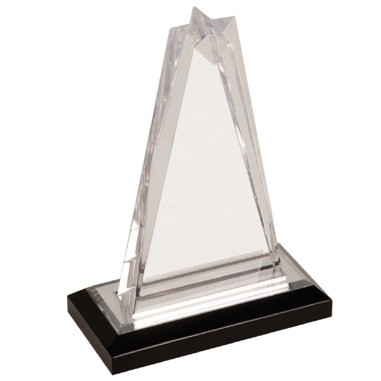 6 1/4" Clear Star Acrylic Award (Screen printed)