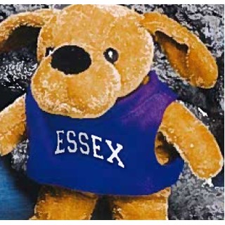 6" Team Thrifty™ Stuffed Brown Puppy