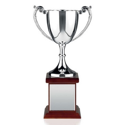 11.5 Swatkins Endurance Nickel Plated Award Cup w/Base
