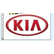 Authorized Dealer Free Flying Drape Flags (KIA®)