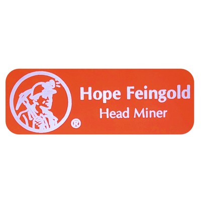 Aluminum Laser Engraved Named Badge (1"x3")