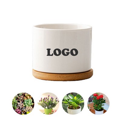 Ceramic Succulent Planters