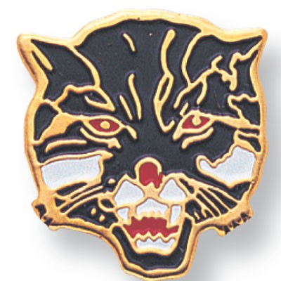 Etched Enameled Mascot Wildcat Pin