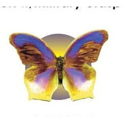Purple & Yellow Butterfly Lapel Pin