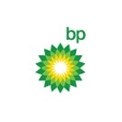 BP® Nylon Franchise Gas Station Logo Flag