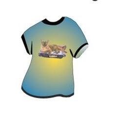 Asian Chocolate Smoke Cat T-Shirt Lapel Pin