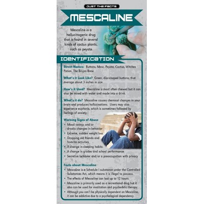 Mescaline Just the Facts Rack Card (4" x 9")