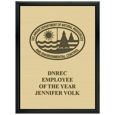Black Plaque w/Engraved Plate (9"x12")