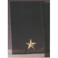Gold Star Smoked Glass Award w/Gold Plastic Plaque Mounts (5"x7.5")