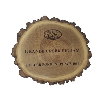 Old West Log Plaque (9")