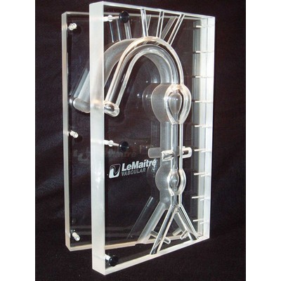 LeMaitre Aortic Pathway