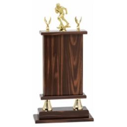 18" SET Perpetual Sports Plaque