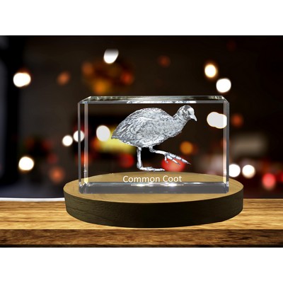 Common Coot 3D Engraved Crystal 3D Engraved Crystal Keepsake
