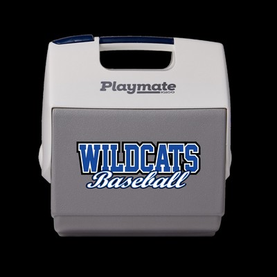 Igloo® Maxcold Playmate Elite 16 Qt. Cooler (Carbonite/Aegean Sea)