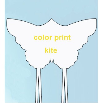 Advertising Kite