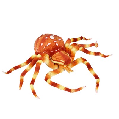 Orange Spider