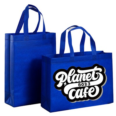 Non-Woven Reusable Shopping Bags
