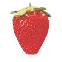 Strawberry Lapel Pin