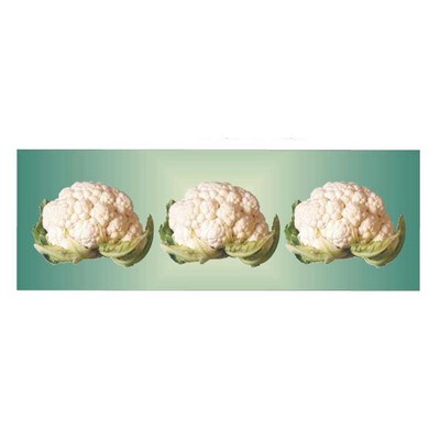 Cauliflower Panoramic Metal Photo Magnet
