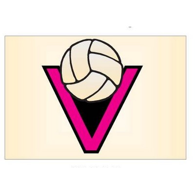 Volleyball Rectangle Photo Magnet (2"x3")