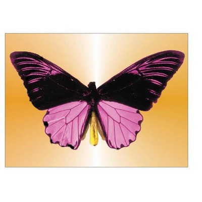 Black & Purple Butterfly Metal Photo Magnet (2 1/2"x3 1/2")