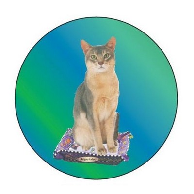 Abyssinian Cat Round Metal Photo Magnet (2 1/2")