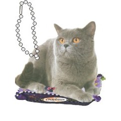 Chartreux Cat Promotional Keychain w/ Black Back (3 Square Inch)