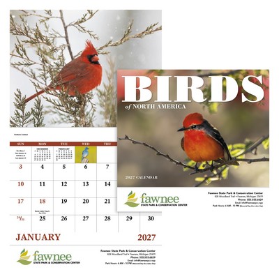 Good Value™ Birds of North America - Stapled Calendar