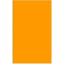Fluorescent Orange Rectangle Labels - 2" x 3.25"
